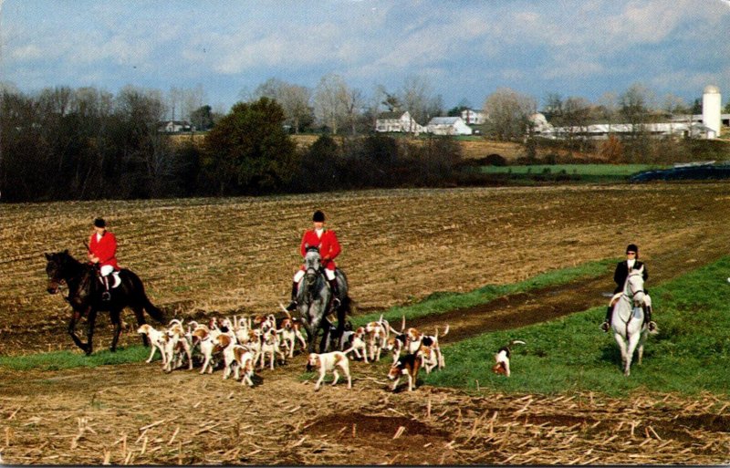 Connecticut Bethlehem Litchfield Hounds Hunt Club