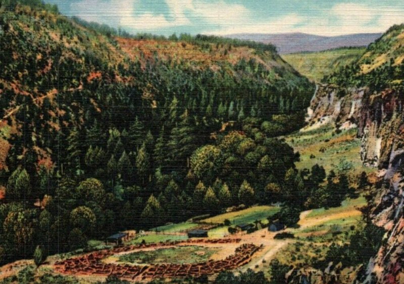 Vintage Postcard-Frijoles Canyon-New Mexico-Valley-City Ruins