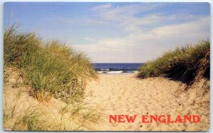 Postcard - Sand Dunes, New England Coast - New England