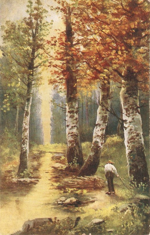 Man gathering wood in the forest Old vintage Austrian postcard