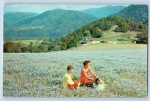 Carmel Valley California Postcard Beautiful Valley With Its Wild Flowers c1960's