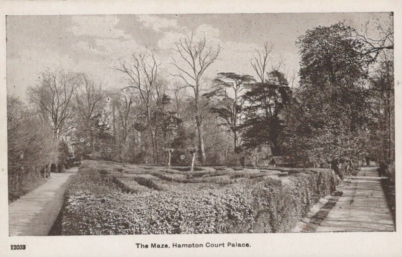 Middlesex Postcard - The Maze, Hampton Court Palace  RS24278
