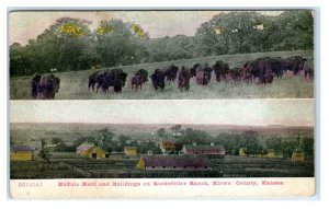 KIOWA COUNTY, KS Kansas ~ Buffalo & ROCKEFELLER RANCH Scenes 1910 Postcard