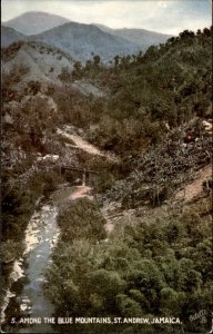 St Andrew Jamaica Scenic View Blue Mountains c1900-20s Vintage Postcard