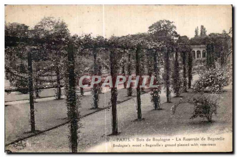 Old Postcard Paris Bois de Boulogne The Rose Garden Bagatelie