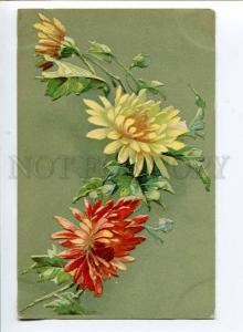 256961 C. KLEIN Aster Flowers AUTUMN Vintage Colorful postcard