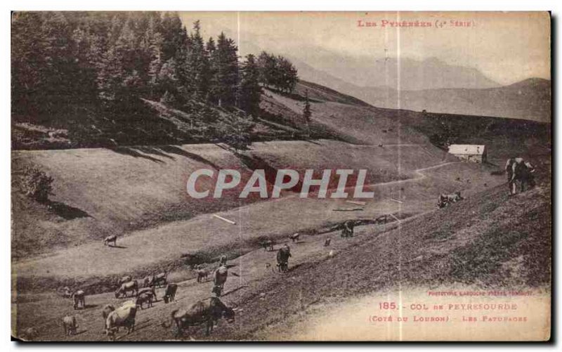 Old Postcard The Pyrenees Col de Peyresourde (Côte Louron) The pastures