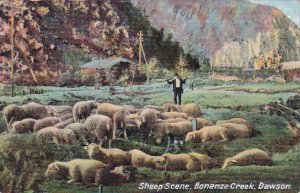 Alaska Dawson Sheep Scene Bonanza Creek