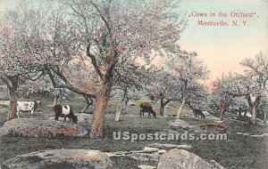 Cows in the Orchard - Monticello, New York NY  