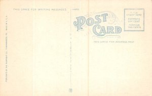 Spring Grove Inn Lake Carey, Pennsylvania PA Postcard