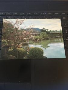 Vintage Postcard: The Heian Shrine, Garden