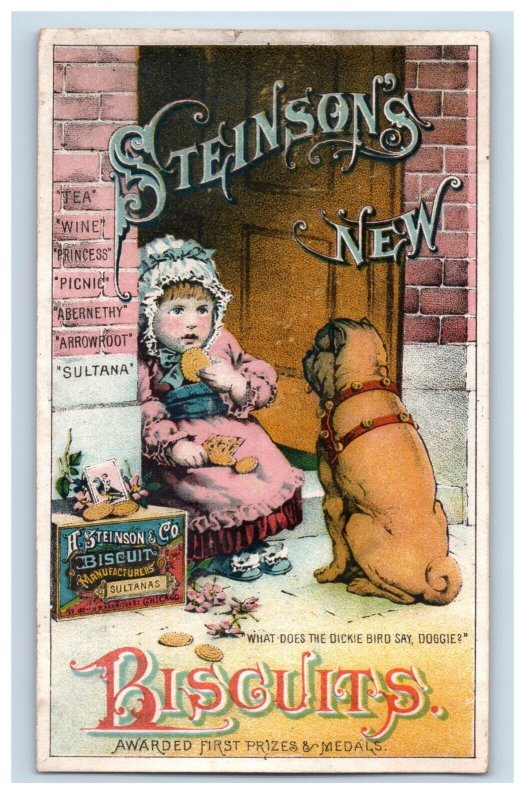 1880s H. Steinson & Co. Hard Sweet Biscuits Crackers Cute Dog & Baby P157