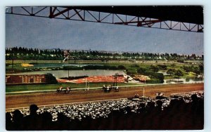 INGLEWOOD, CA ~ HOLLYWOOD PARK RACE TRACK  c1950s    Postcard