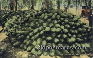 Five Tons of Watermelons Farming Unused 