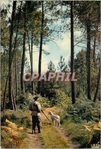 Postcard Modern Au Pays Landais Departure for Hunting Dog Hunter