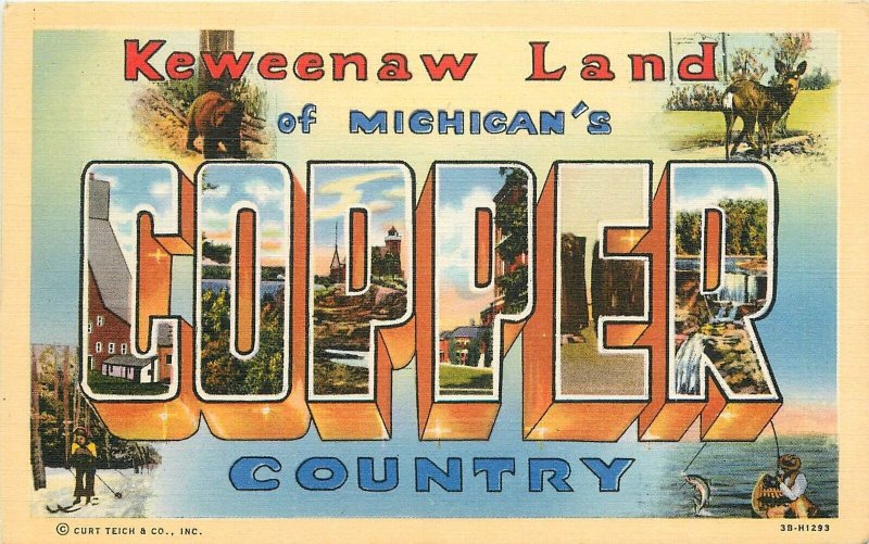 Postcard Michigan Copper County Large Letters Multi View Payn's Teich 23-496 