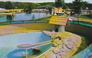 Playful Otters Childrens Zoo Storyland Valley Edmonton Alberta