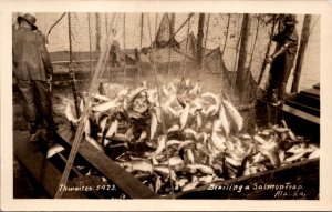 Real Photo Postcard Brailing a Salmon Trap in Alaska