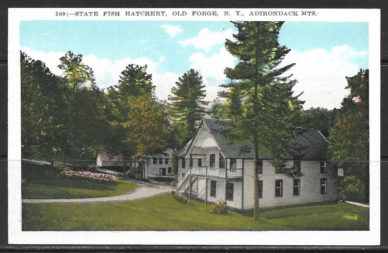 New York, Old Forge - State Fish Hatchery - Adirondack Mts -  [NY-396]