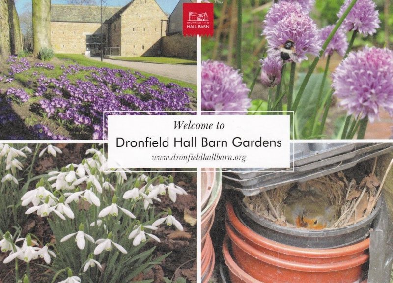 Dronfield Hall Barn Gardens Derby Advertising Postcard