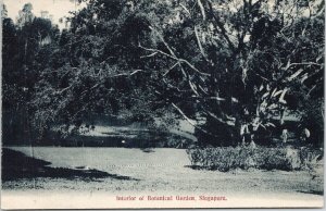 Singapore Interior of Botanical Garden Unused Postcard E64