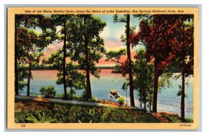 Shore Lake Hamilton Hot Springs National Park AR Vintage Standard View Postcard 