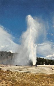 Beehive Geyser Yellowstone National Park, Wyoming, USA