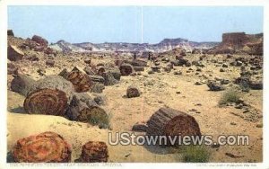 Petrified Forest - Adamana, Arizona AZ