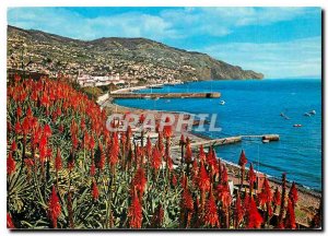 Modern Postcard Funchal Madeira Vista nimble