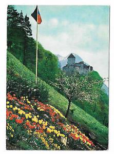 Liechtenstein Schloss Castle Vaduz 1967 View Villa Askania Nova 4X6 Postcard