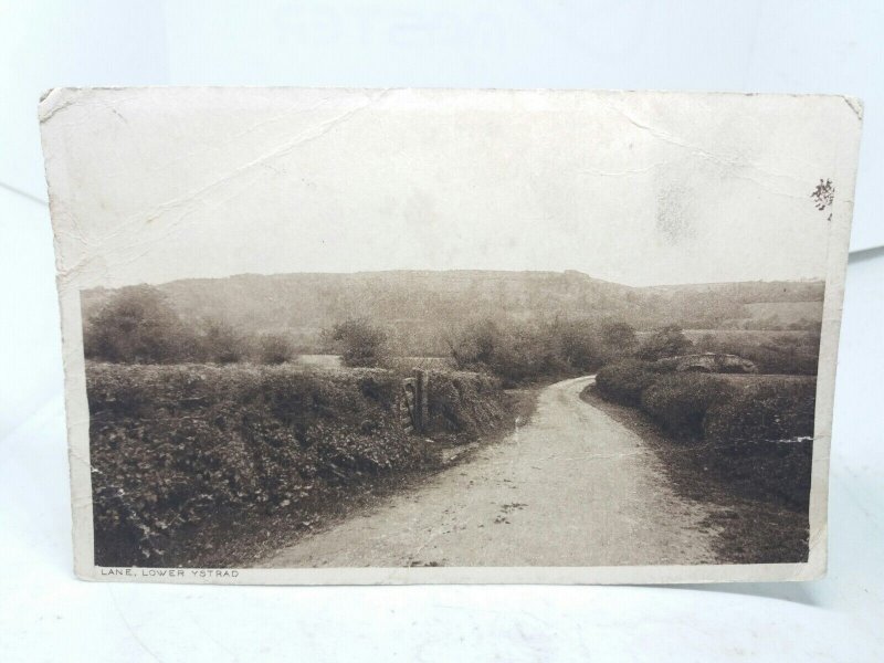 Country Lane Lower Ystrad Cardiganshire Antique Vintage Postcard