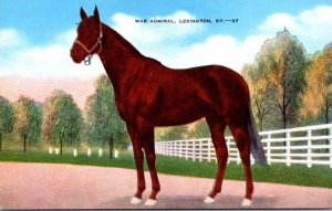 Horses War Admiral Undefeated As A Three Year Old Voted Outstandi...