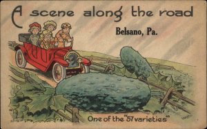 Belsano Pennsylvania PA Exaggration Farming Cucumber Classic Car c1910 Postcard
