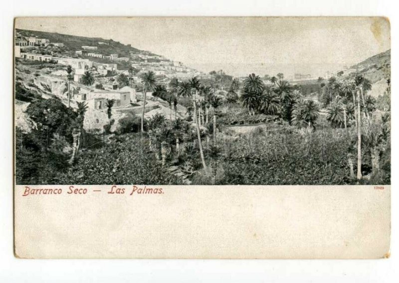 492147 Spain Canary islands Las Palmas Dry Ravine Vintage postcard