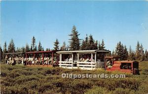 The Toonerville Trolley 1928 by Capt Joe Beach Unused 