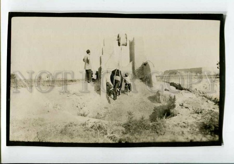 3150676 PERSIA IRAN Vintage real photo postcard