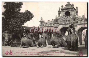 Annam Hue Old Postcard Elephants s & # 39agenouillant making the lay past the...