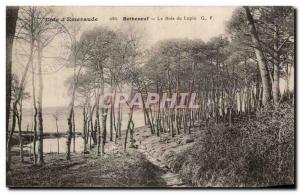 Old Postcard Cote D & # 39Emeraude Rotheneuf Le Bois Du Lupine