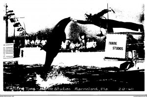 Florida Marineland Feeding Time Marine Studios Real Photo