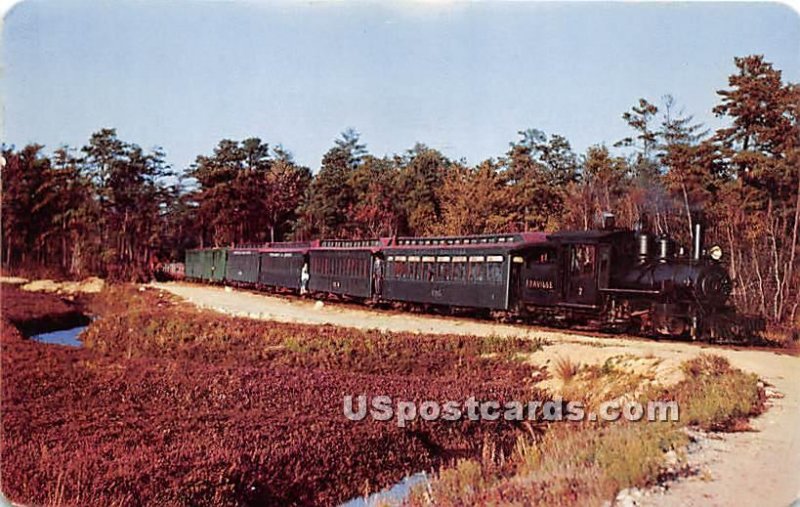 Sightseeing Train through Cranberry Bogs - South Carver, Massachusetts MA  