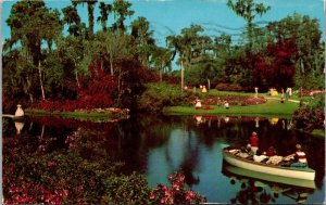 Florida Cypress Gardens Lake Eloise 1961