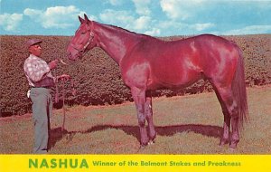 Lexington, KY, USA Nashua, Winner of Belmont Stakes, Preakness Horse Racing U...