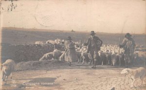 Rome Italy Countryside Shepherds and Sheep Real Photo Vintage Postcard AA74677