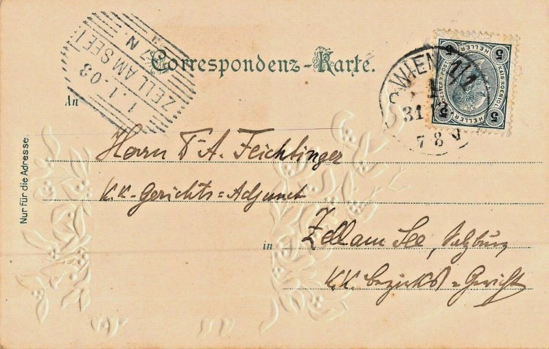 FRÖHLICHES NEUJAHR-HAPPY NEW YEAR-WIEN AUSTRIA-BURGRING-ORNATE 1902 POSTCARD