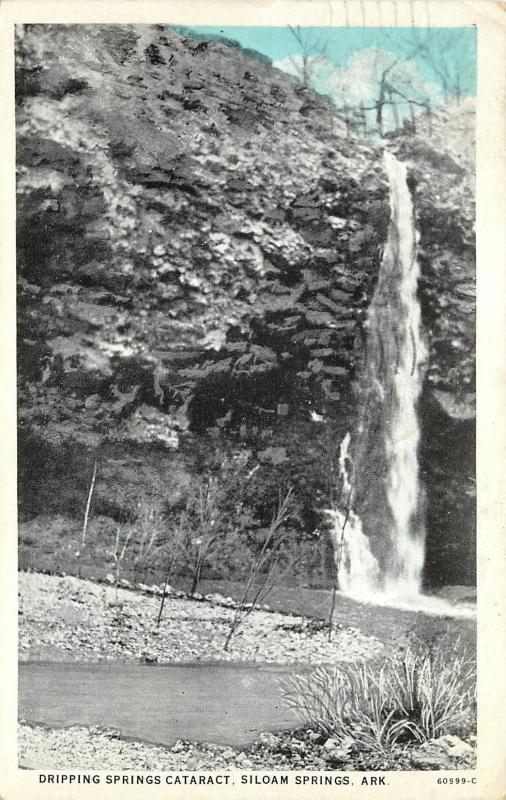 Vintage Postcard Dripping Springs Cataract Siloam Springs AK  Benton County