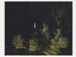 Nude Lady Swimming in Hackney Marshes Photo Postcard