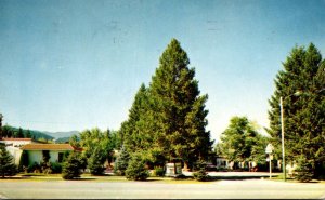 Montana Libby Evergreen Motel Main Street and U S Hwy 2 1962