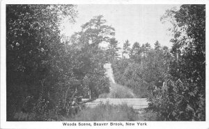 Beaver Brook New York Woods Scene, B/W Photo Print Vintage Postcard U10691