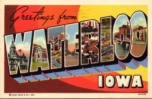 Iowa Greetings From Waterloo Large Letter Linen 1953 Curteich