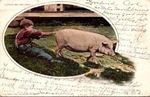 Pigs Young Boy Pulling Pigs' Tail Little On The Hog 1905